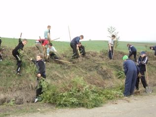 На Коломийщині проведено чергову акцію «Посади дерево»