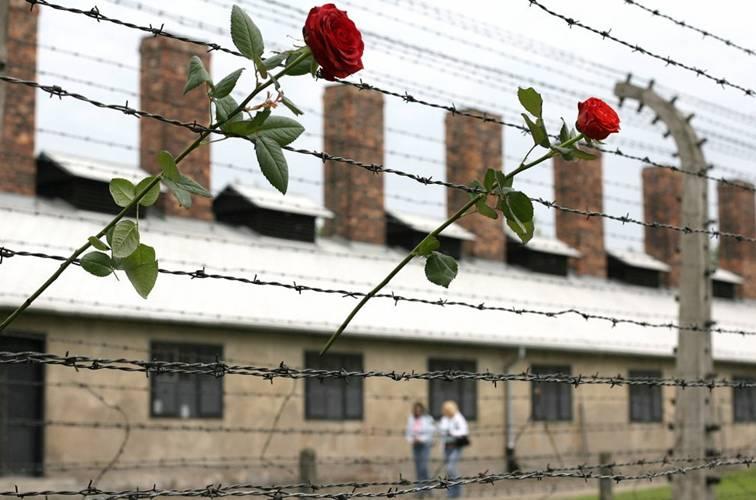 Від поля бою до концтаборів: Країни-учасниці Другої світової війни згадують жертв фашизму Від поля бою до концтаборів: Країни-учасниці Другої світової війни згадують жертв фашизму