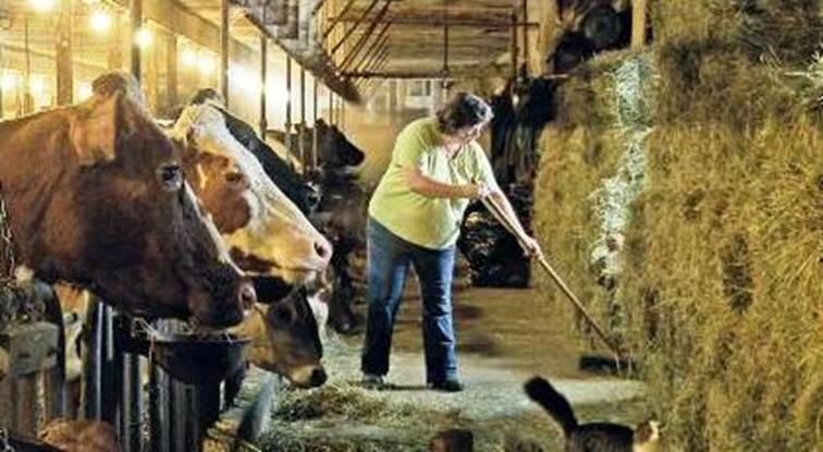 Селянські господарства стануть повноцінними учасниками аграрного ринку