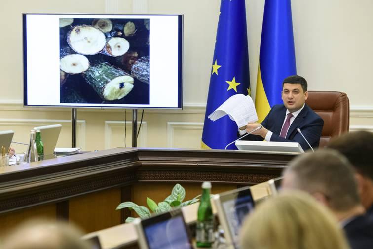 Глава Уряду ініціює масштабні перевірки лісгоспів на предмет контрабанди лісу і підписав звернення до Генпрокуратури про перевірки фактів порушень
