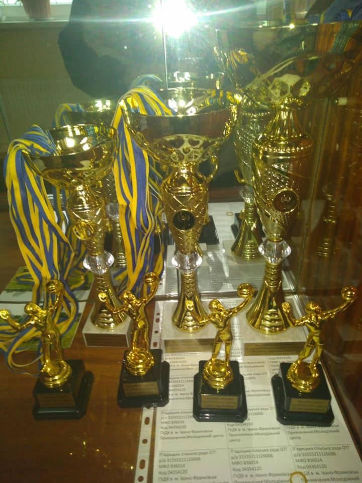 Турнір з волейболу серед жіночих команд «Краса заради миру»