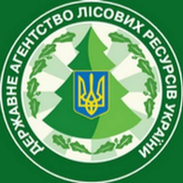 Триває наповнення шару «Ліси» на публічній кадастровій карті України Триває наповнення шару «Ліси» на публічній кадастровій карті України