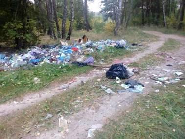 Районна влада просить повідомляти про несанкціоновані сміттєзвалища на Коломийщині