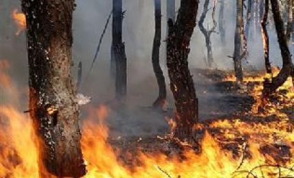 В Коломийській райдержадміністрації відбулось засідання районної комісії з питань техногенно-екологічної безпеки та надзвичайних ситуацій