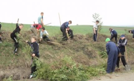 На Коломийщині проведено чергову акцію «Посади дерево»
