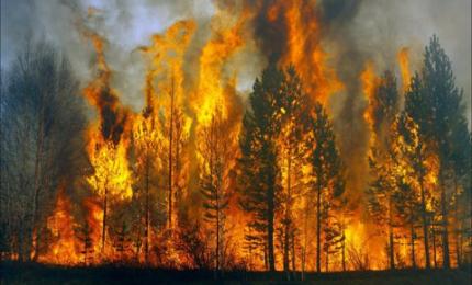 Збільшення кількості пожеж