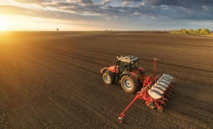 Весняна посівна-2021