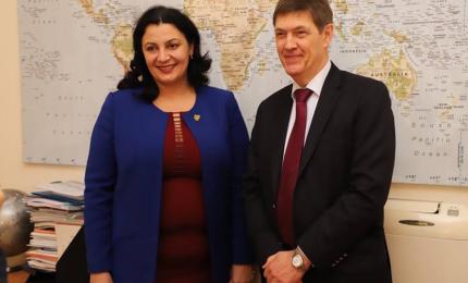 Спостерігачі Парламентської Асамблеї НАТО візьмуть участь у моніторингу українських виборів 2019 року