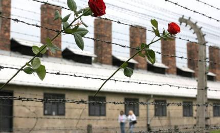Від поля бою до концтаборів: Країни-учасниці Другої світової війни згадують жертв фашизму