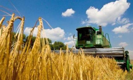 Аграрії Прикарпаття намолотили 311 тисяч тонн зерна та завершили збирання озимих ячменю та ріпаку