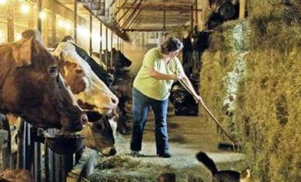 Селянські господарства стануть повноцінними учасниками аграрного ринку