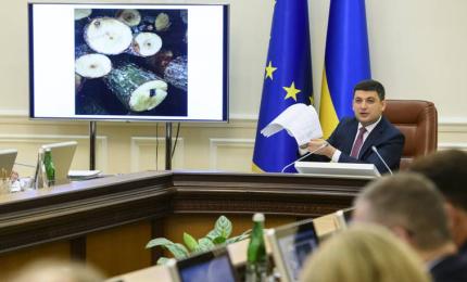 Глава Уряду ініціює масштабні перевірки лісгоспів на предмет контрабанди лісу і підписав звернення до Генпрокуратури про перевірки фактів порушень
