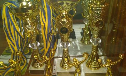 Турнір з волейболу серед жіночих команд «Краса заради миру»
