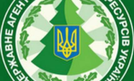 Триває наповнення шару «Ліси» на публічній кадастровій карті України