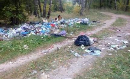 Районна влада просить повідомляти про несанкціоновані сміттєзвалища на Коломийщині